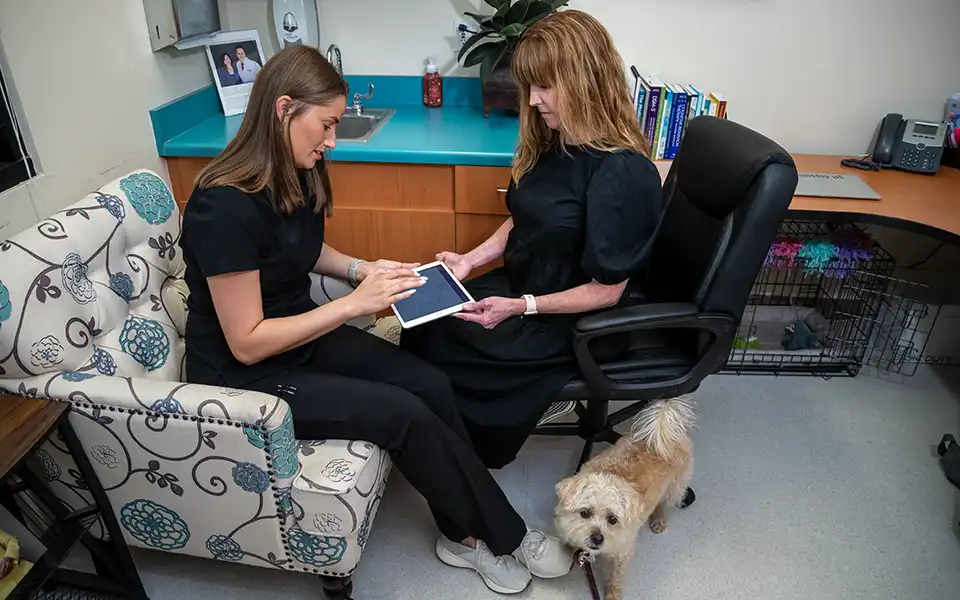 Two women sit opposite each other in office chairs in a medical exam room. They work together on a tablet between them. A small, cute dog sits on the floor looking at the camera.